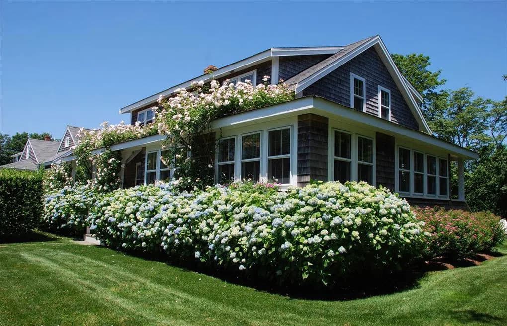Property Hero image