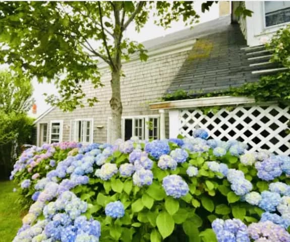rental property in 2 Magnolia Avenue