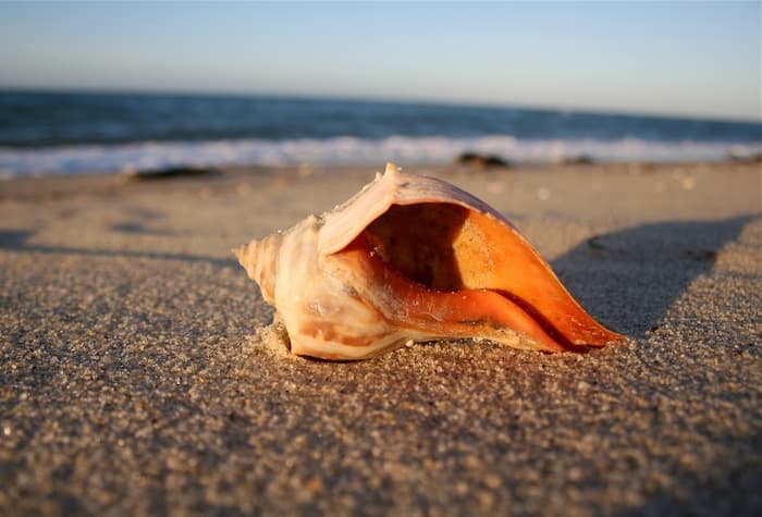 Dionis Beach, Nantucket