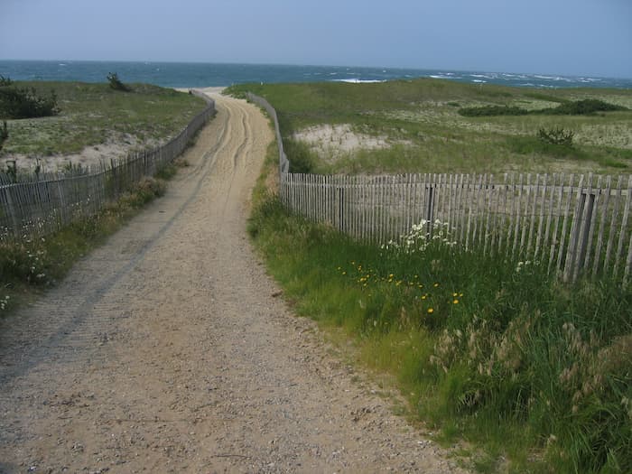 Best Nantucket Dog Walking Trails