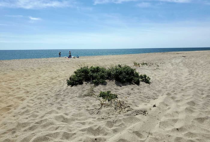 Low Beach, Nantucket