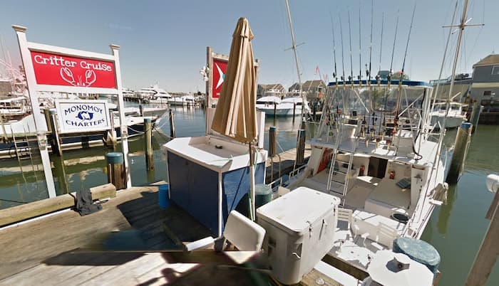 Explore the Wonders of Nantucket with Critter Cruise and Monomoy Charters