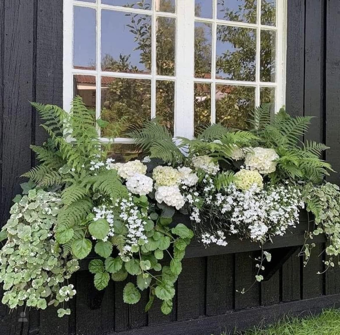 A Chat with Nantucket Flower Box Gardener